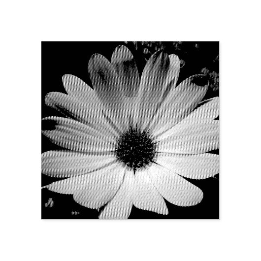 Paarse Daisy Flower Wood Art Stempel (Afrduk)