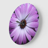 Paarse Daisy Grote Klok (Hoek)