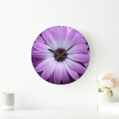 Paarse Daisy Grote Klok (Huis)