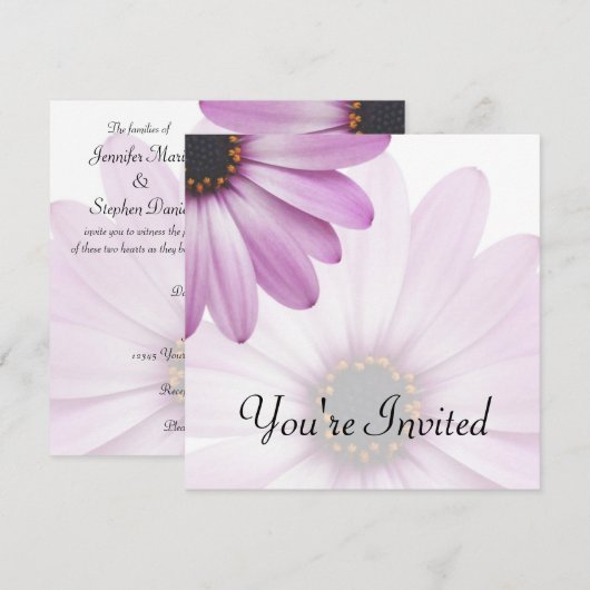 Paarse Daisy Kaart (Voorkant / Achterkant)