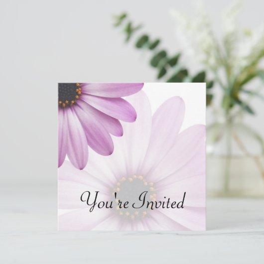 Paarse Daisy Kaart (Staand voorkant)