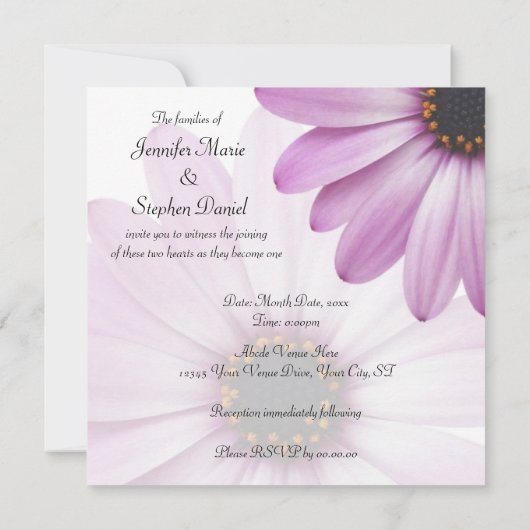 Paarse Daisy Kaart (Achterkant)