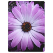 Paarse Daisy Klembord (Achterkant)
