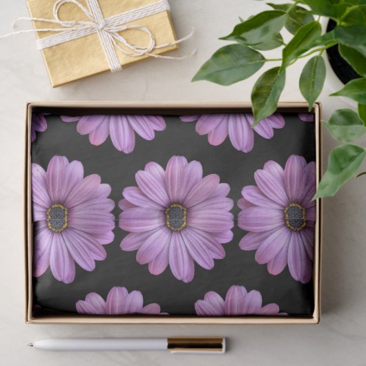 Paarse Daisy over Black Tissue Paper Tissuepapier (Geschenk)