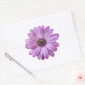 Paarse Daisy over witte stickers (Envelop)