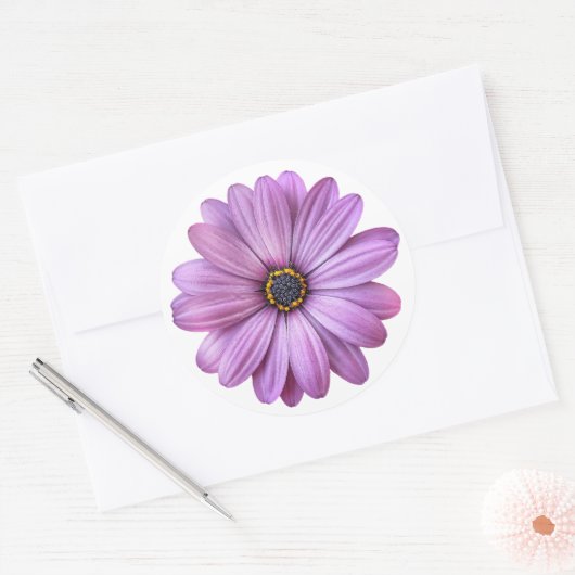 Paarse Daisy over witte stickers (Envelop)