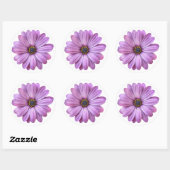 Paarse Daisy over witte stickers (Vel)