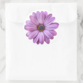 Paarse Daisy over witte stickers (Tas)