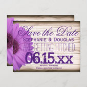 Paarse Daisy Rustic Wood Sparen de Briefkaarten va (Voorkant / Achterkant)
