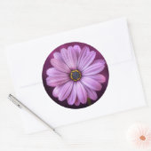 Paarse Daisy Stickers (Envelop)