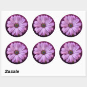Paarse Daisy Stickers (Vel)
