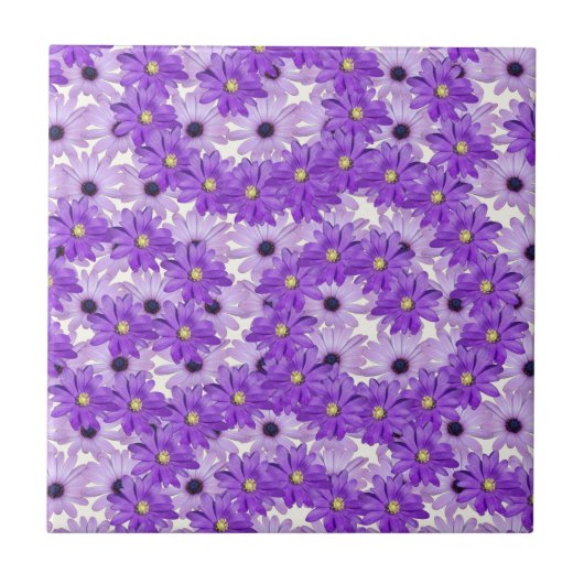 Paarse Daisy Swirls Tegeltje (Voorkant)