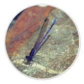 Paarse Damselfly gooit de rots dicht Keramische Knop (Voorkant)