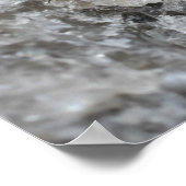 Paarse Damselfly op Quartz Rock Insect Poster (Hoek)