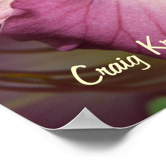 Paarse Daylily Poster (Hoek)