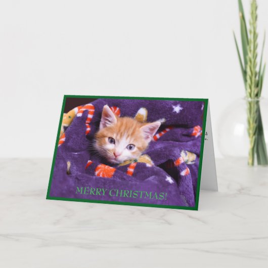 Paarse Deken Kat Prettig Kerstfeest Oranje Kitten  Feestdagen Kaart (Voorkant)