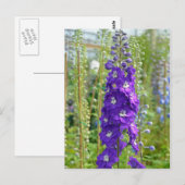 Paarse delfiniumbloemen drukken briefkaart af (Voorkant / Achterkant)