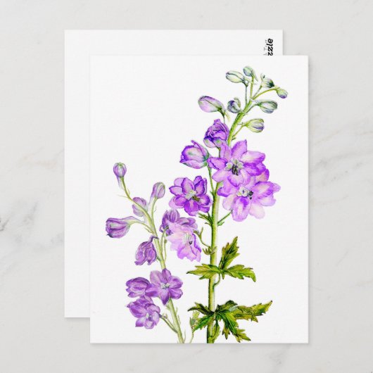 Paarse delfiniums in het briefkaart van de waterve (Voorkant / Achterkant)