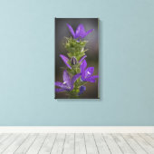 Paarse Delight Galerij Canvas Wrap Afdruk (Insitu (Houten vloer))