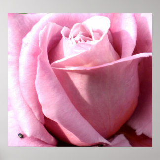 Paarse delinquentie poster