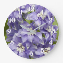 Paarse Delphinium Bloesems Bloemen