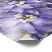 Paarse Delphinium Blooms Floral Foto Afdruk (Hoek)