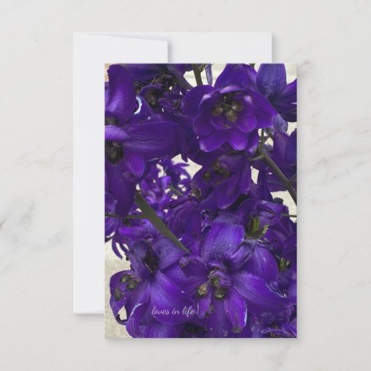 Paarse Delphinium Notitiekaartje (Voorkant)