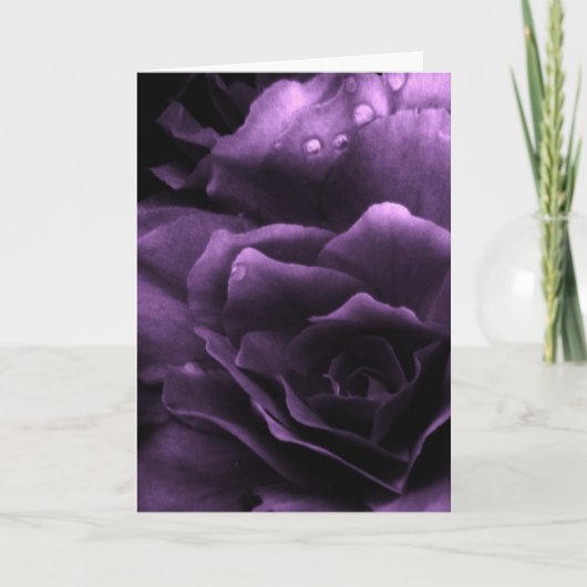 Paarse Dichte Omhooggaand van een Dubbele Begonia Kaart (Voorkant)