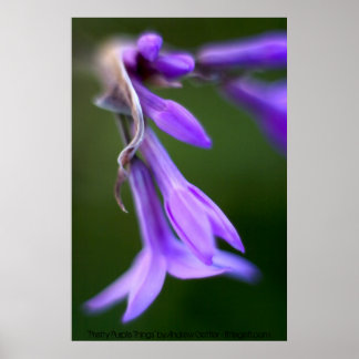 " Paarse dingen" van Andrew Gettler Poster