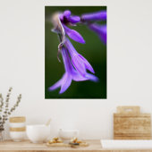 " Paarse dingen" van Andrew Gettler Poster (Keuken)