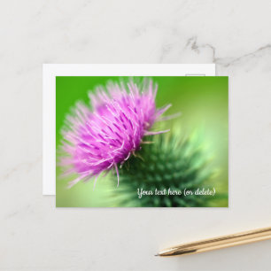 Paarse Distel Ansichtkaart Briefkaart