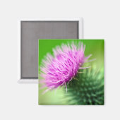 Paarse distel bloemmagneet magneet (Voorkant / Achterkant)