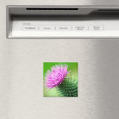 Paarse distel bloemmagneet magneet (Insitu (Vaatwasser))