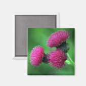 Paarse distel bloemmagneet magneet (Voorkant / Achterkant)