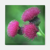 Paarse distel bloemmagneet magneet (Voorkant)