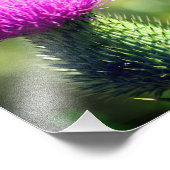 Paarse distelbloem Close Up 8x8 Foto Afdruk (Hoek)