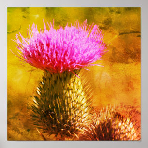 Paarse Distelbloem Close-up Gedecoreerde Kunst Poster