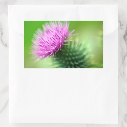 Paarse distelbloem Sticker (Tas)