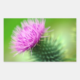 Paarse distelbloem Sticker