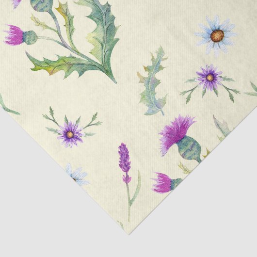 paarse distelbloemen, gele achtergrond tissuepapier (Detail)