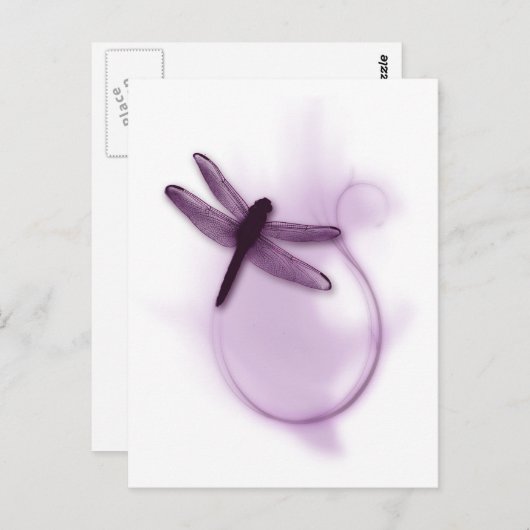Paarse dragonfly briefkaart (Voorkant / Achterkant)