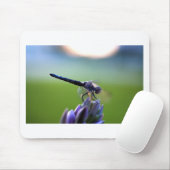 Paarse dragonfly muismat (Met muis)