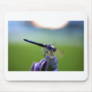 Paarse dragonfly muismat
