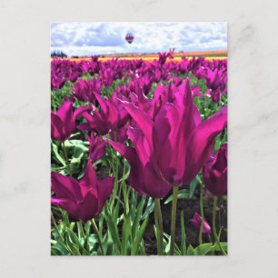Paarse droomtulpen briefkaart