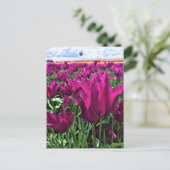 Paarse droomtulpen briefkaart (Staand voorkant)