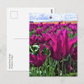 Paarse droomtulpen briefkaart (Voorkant / Achterkant)