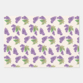 Paarse Druif Waterverf Handgeschilderd Inpakpapier Vel (Voorkant 3)