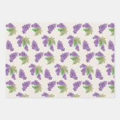 Paarse Druif Waterverf Handgeschilderd Inpakpapier Vel (Voorkant 2)