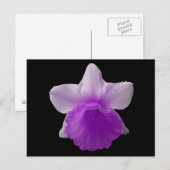 Paarse druipende narcis Briefkaart (Voorkant / Achterkant)