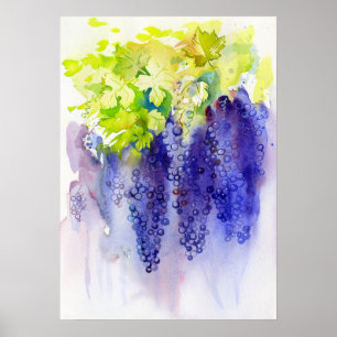 Paarse Druiven Aquarel Wijngaard Keuken Poster